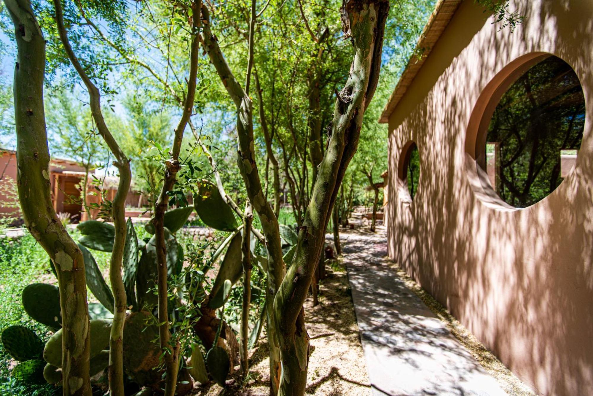 Naturalis Hotel San Pedro de Atacama Exterior photo